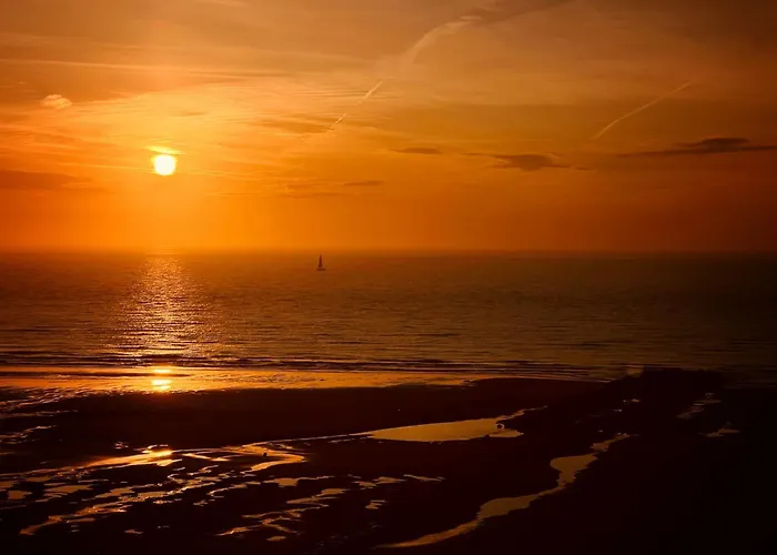 Duinhelm * 미들케르케